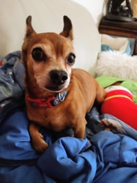 Image 2 of Tiny's Steak Fund