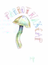 Image 2 of Parrot Waxcap- A5 original pencil and ink illustration