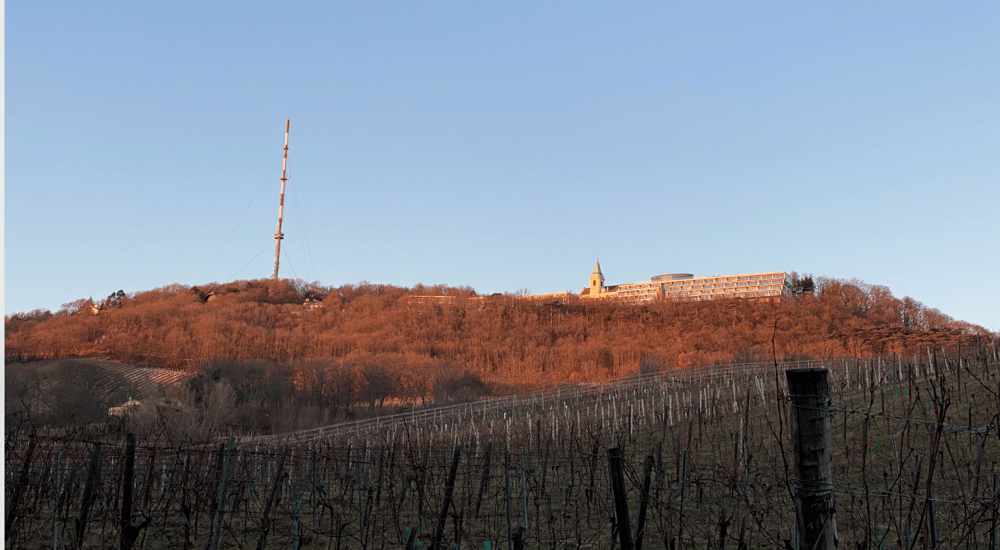 Image of AUFTRAGSMALEREI (Lieblingsort) // COMMISION PAINTING 