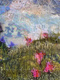 Image 5 of Home on Blooming Hill