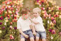 Image 1 of TULIP MINIS 