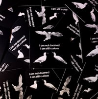 Image 1 of i am not doomed 