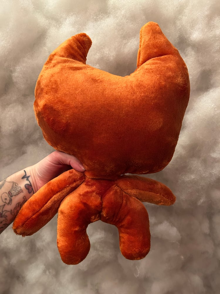 Image of Orange nuzzle Gibbie