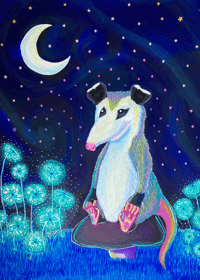 Cosmic Opossum Art Print