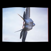 Image 3 of Di Salvo F.O.O. Book