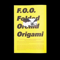 Image 4 of Di Salvo F.O.O. Book