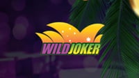 Wild Joker Review - Responsible Gambling