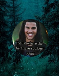 bwthhybl pin