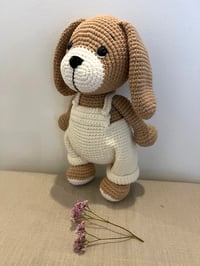 Image 2 of Terry – A Sweet Dog