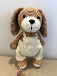 Image 3 of Terry – A Sweet Dog