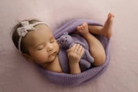 Image 1 of LILAC COLLECTION | PREORDER