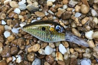 Image 2 of Custom Airbrushed Crankbait 1816