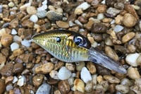 Image 4 of Custom Airbrushed Crankbait 1816