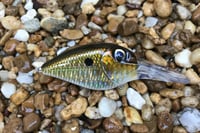 Image 5 of Custom Airbrushed Crankbait 1816