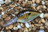 Image 1 of Custom Airbrushed Crankbait 1816