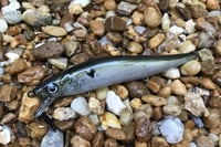 Image 3 of Custom Airbrushed TA 110 Jerkbait  6619