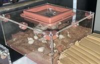 Artemis V2 - Large Outworld