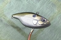 Image 3 of Custom Airbrushed Lipless Crankbait 45