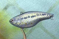 Image 4 of Custom Airbrushed Lipless Crankbait 87