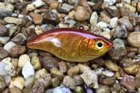 Image 6 of Custom Airbrushed Lipless Crankbait 297