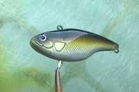 Image 4 of Custom Airbrushed Lipless Crankbait 402