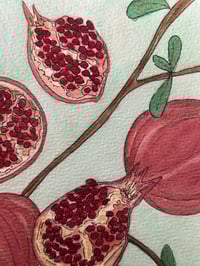 Seasonal Fruit Series