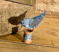 Image 1 of Bluebird of happiness (small)