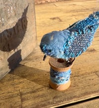 Image 4 of Bluebird of happiness (small)