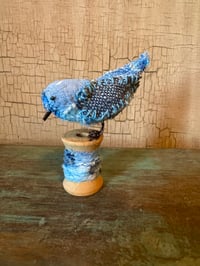 Image 5 of Bluebird of happiness (small)