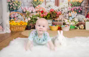 Image of 3/15/26: Bunny Sessions - Easter 1 Setting
