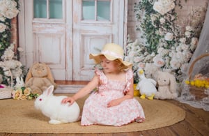 Image of 3/22/26: Easter Bunny Mini - Easter 2 Set