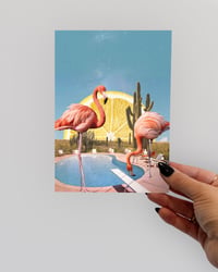 Image 3 of Pretty In Pink