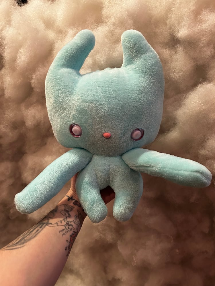 Image of Finn Gibbie