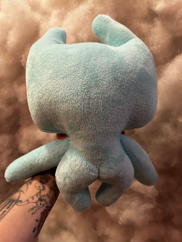 Image of Finn Gibbie