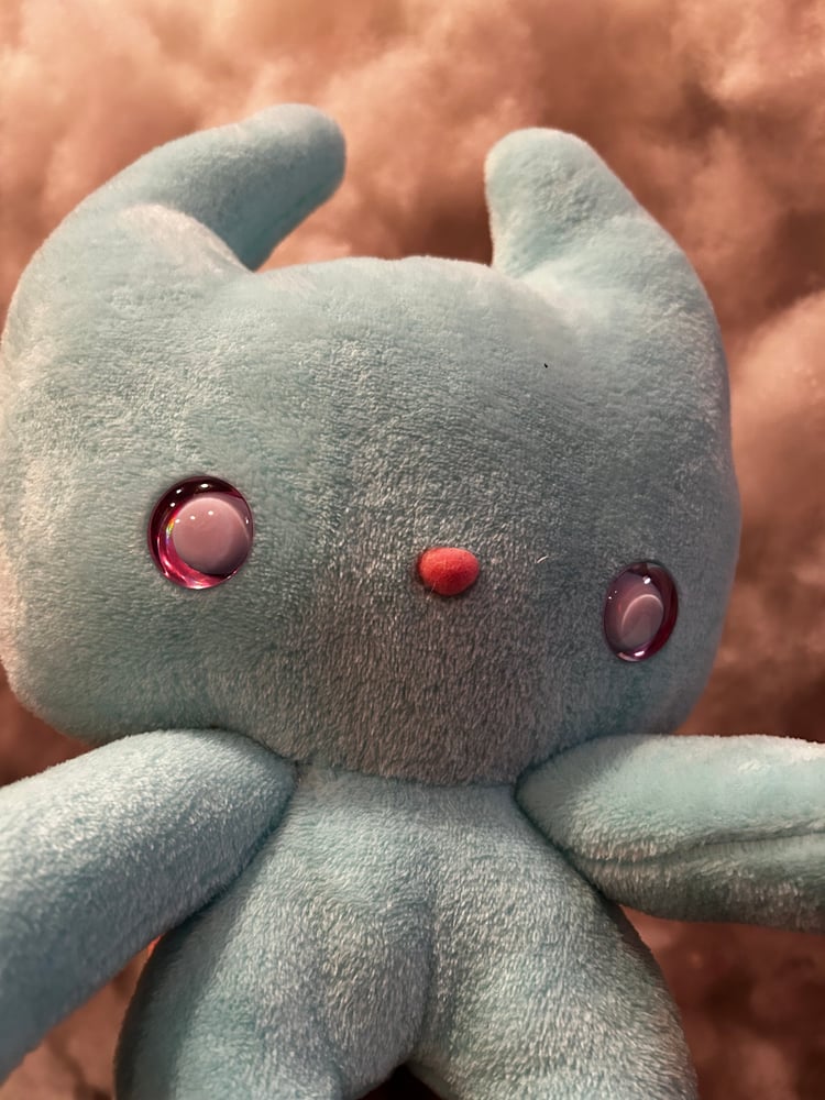 Image of Finn Gibbie