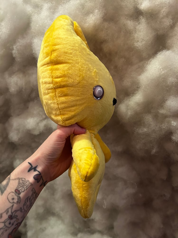 Image of Jake Gibbie