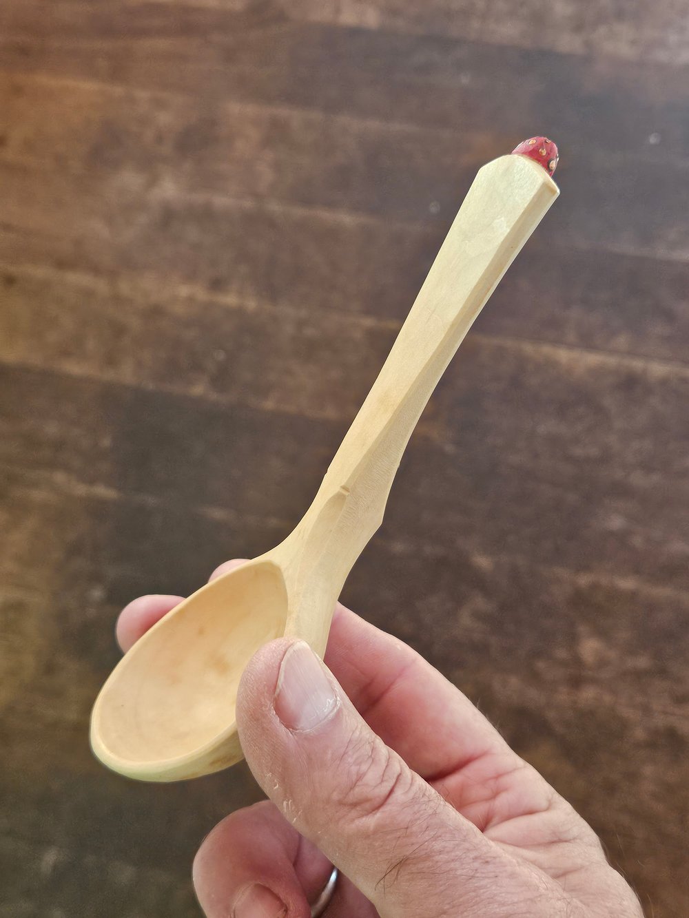 Image of Ladybeetle Scoop 