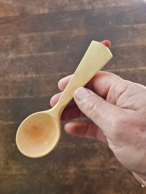 Image of Ladybeetle Scoop 
