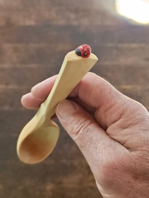 Image of Ladybeetle Scoop 