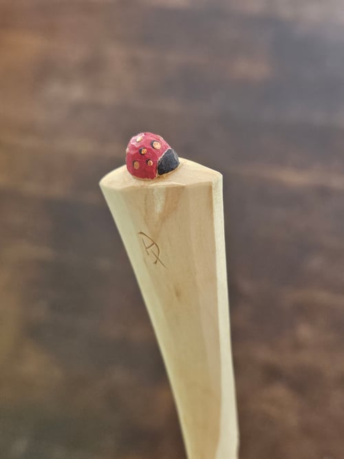 Image of Ladybeetle Scoop 