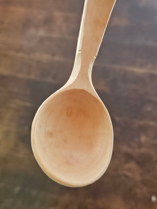 Image of Ladybeetle Scoop 