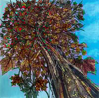 Image 1 of Looking Up