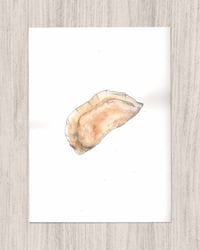 'Pierogi Study 1'