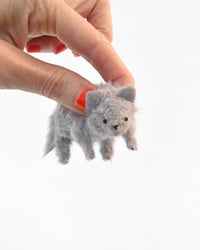 Image 2 of grey kitten