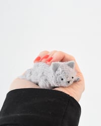 Image 4 of grey kitten