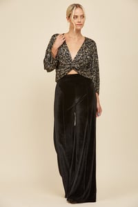 Image 1 of VELVET PALAZZO PANTS