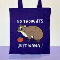 Hyrax with tomato bag , Góralek Skalny