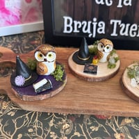 Image 3 of Lechuzas familiares de brujas