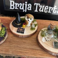 Image 4 of Lechuzas familiares de brujas