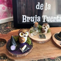 Image 5 of Lechuzas familiares de brujas